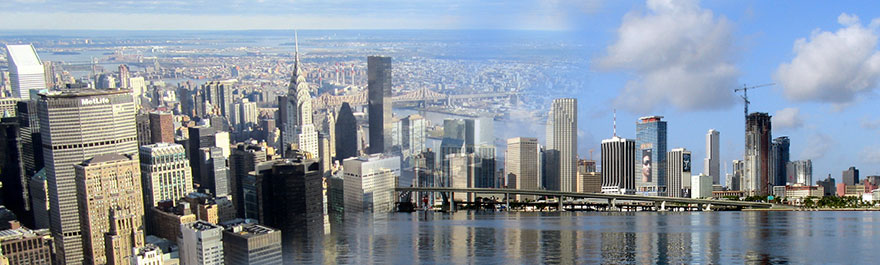 World New York e Miami